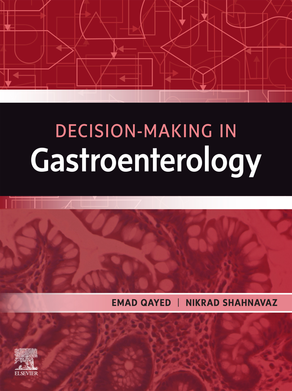 Decision Making in Gastroenterology 1st Edition