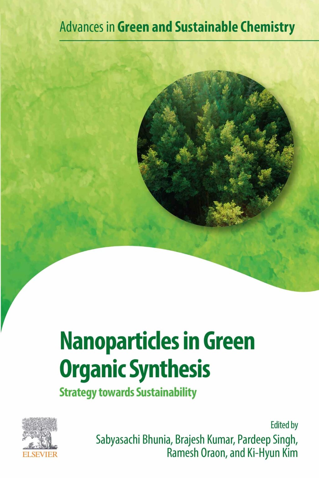 Nanoparticles in Green Organic Synthesis Strategy towards Sustainability 1st Edition