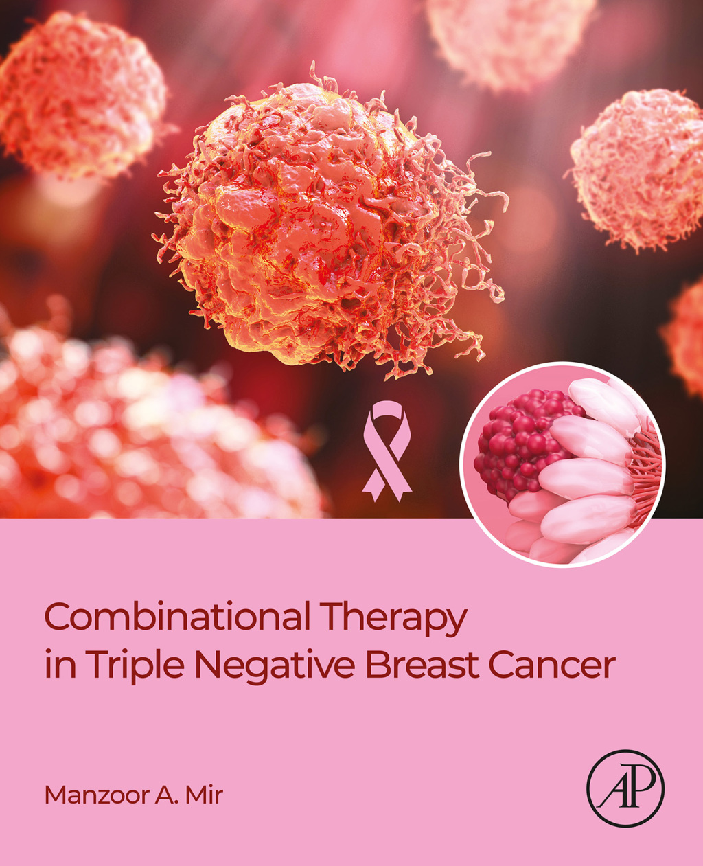 Combinational Therapy in Triple Negative Breast Cancer 