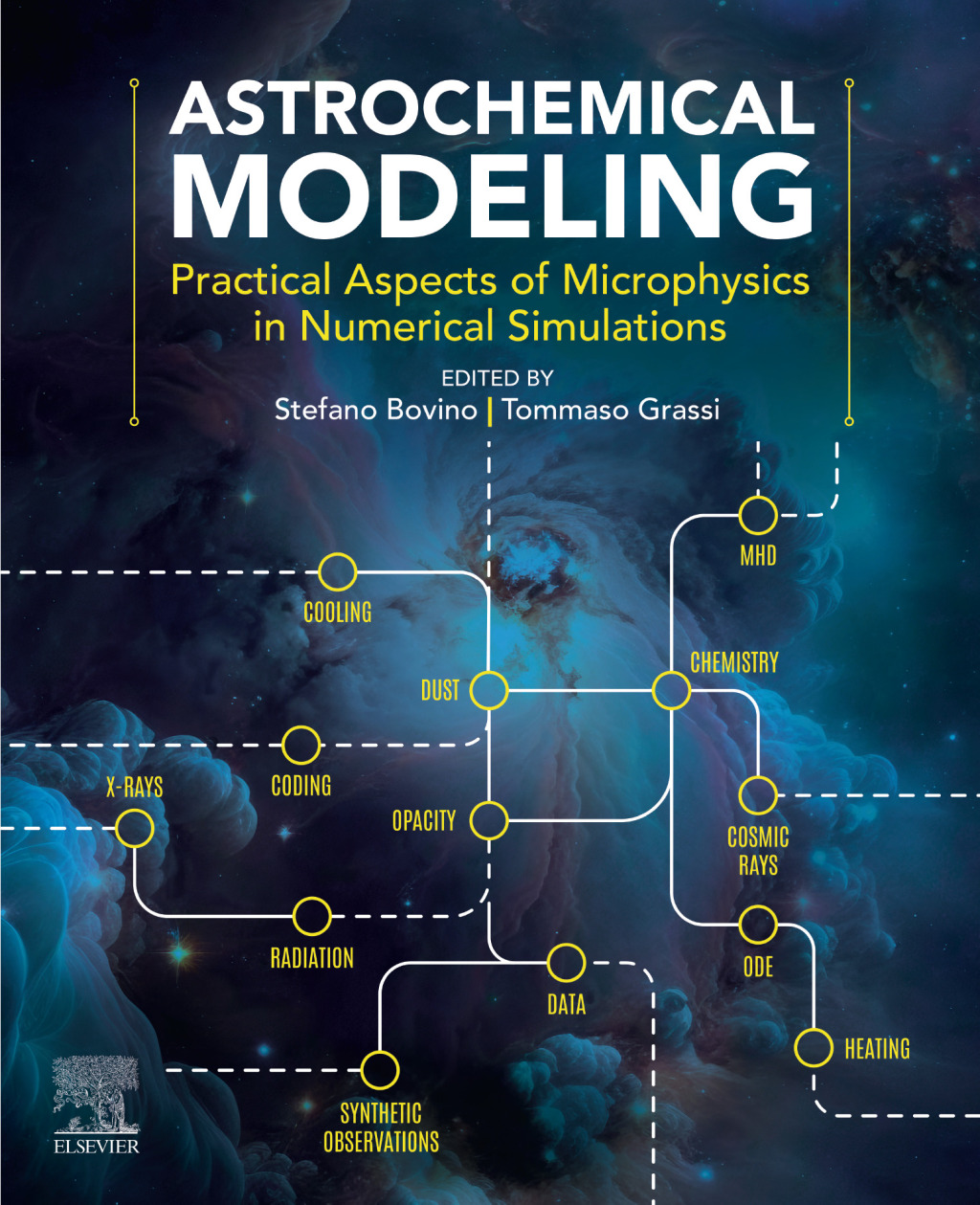 Astrochemical Modeling Practical Aspects of Microphysics in Numerical Simulations 1st Edition