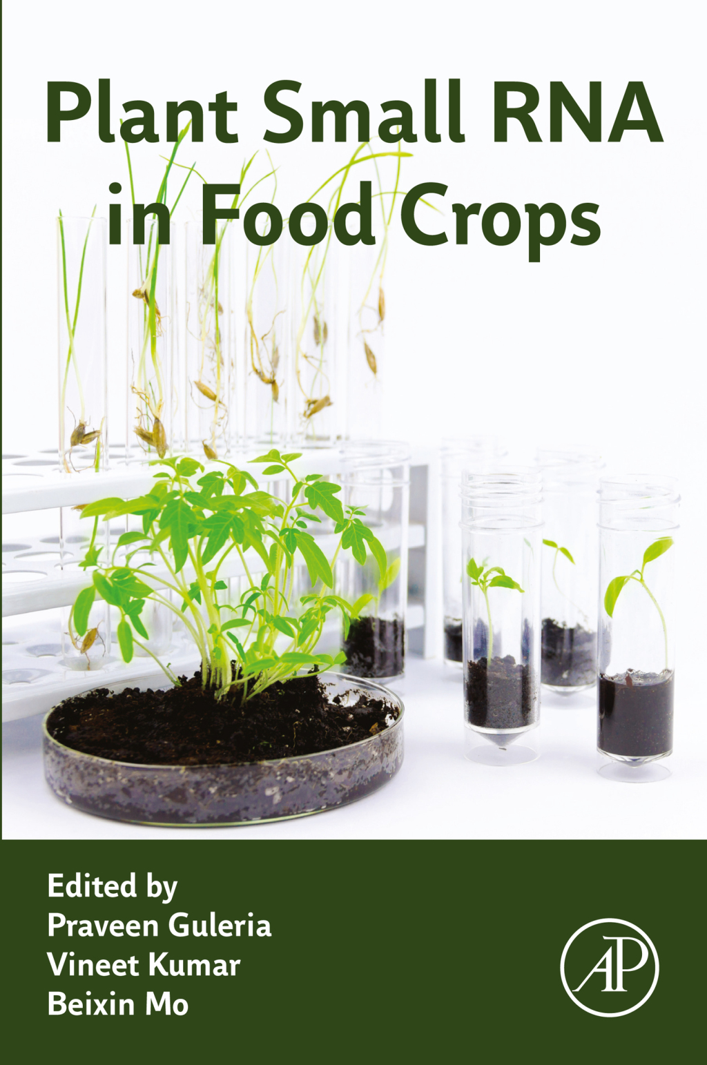 Plant Small RNA in Food Crops 1st Edition