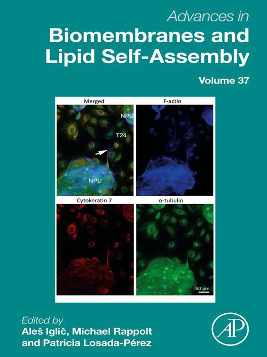 Advances in Biomembranes and Lipid Self-Assembly 1st Edition