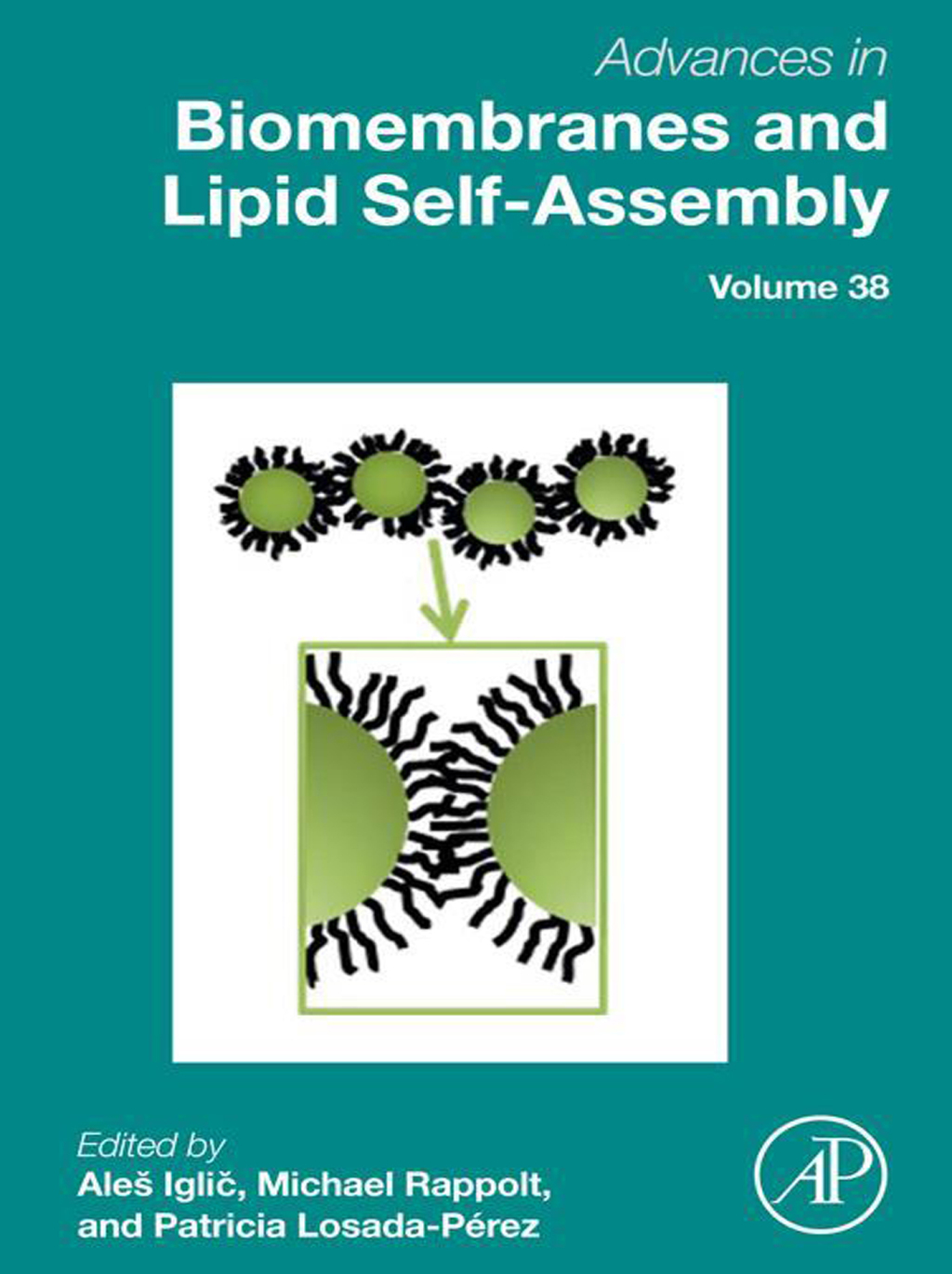 Advances in Biomembranes and Lipid Self-Assembly 1st Edition