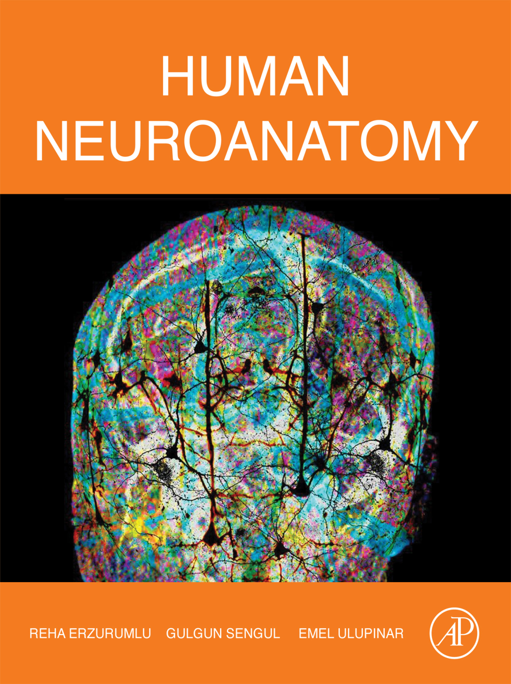Human Neuroanatomy 1st Edition