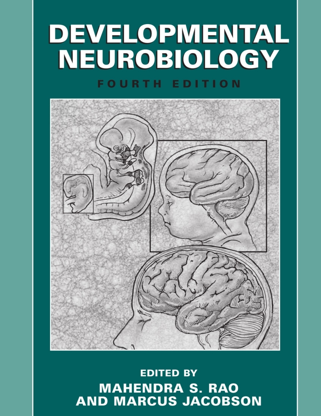 Developmental Neurobiology 4th Edition