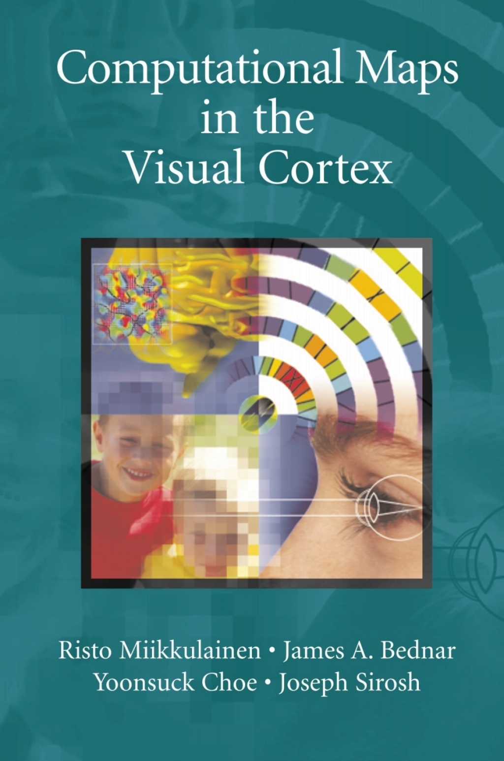 Computational Maps in the Visual Cortex 