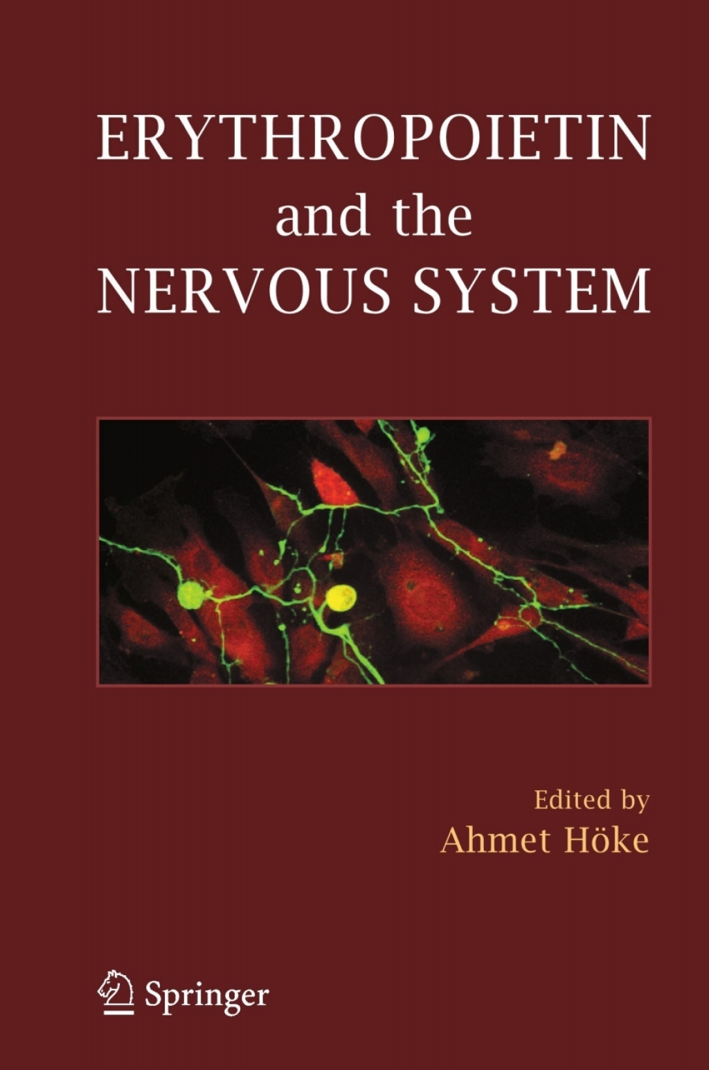 Erythropoietin and the Nervous System 1st Edition