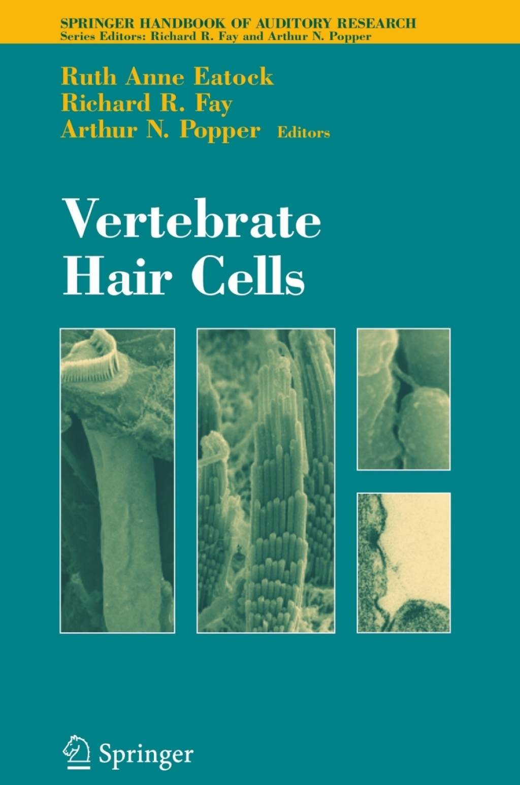 Vertebrate Hair Cells 1st Edition