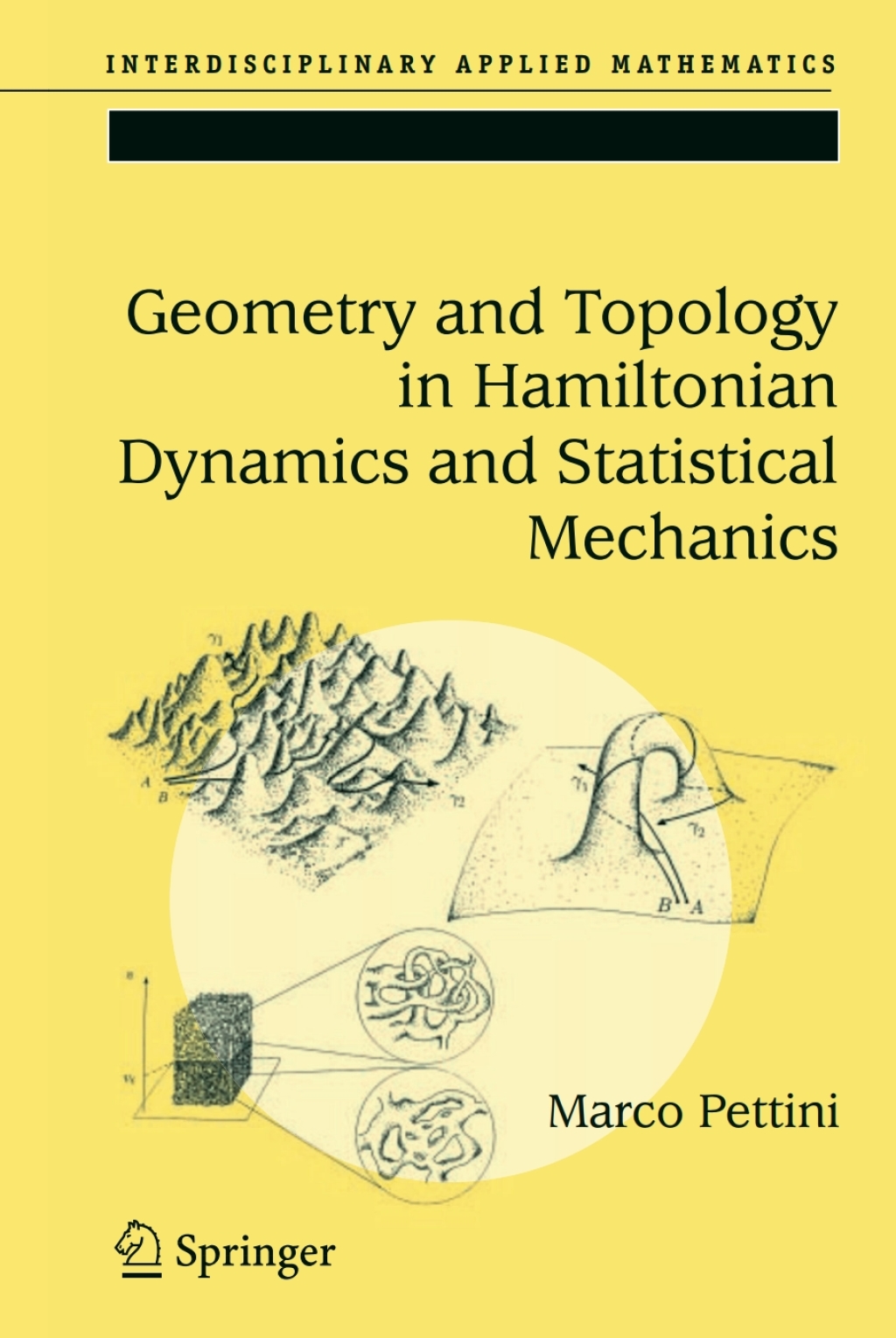 Geometry and Topology in Hamiltonian Dynamics and Statistical Mechanics 