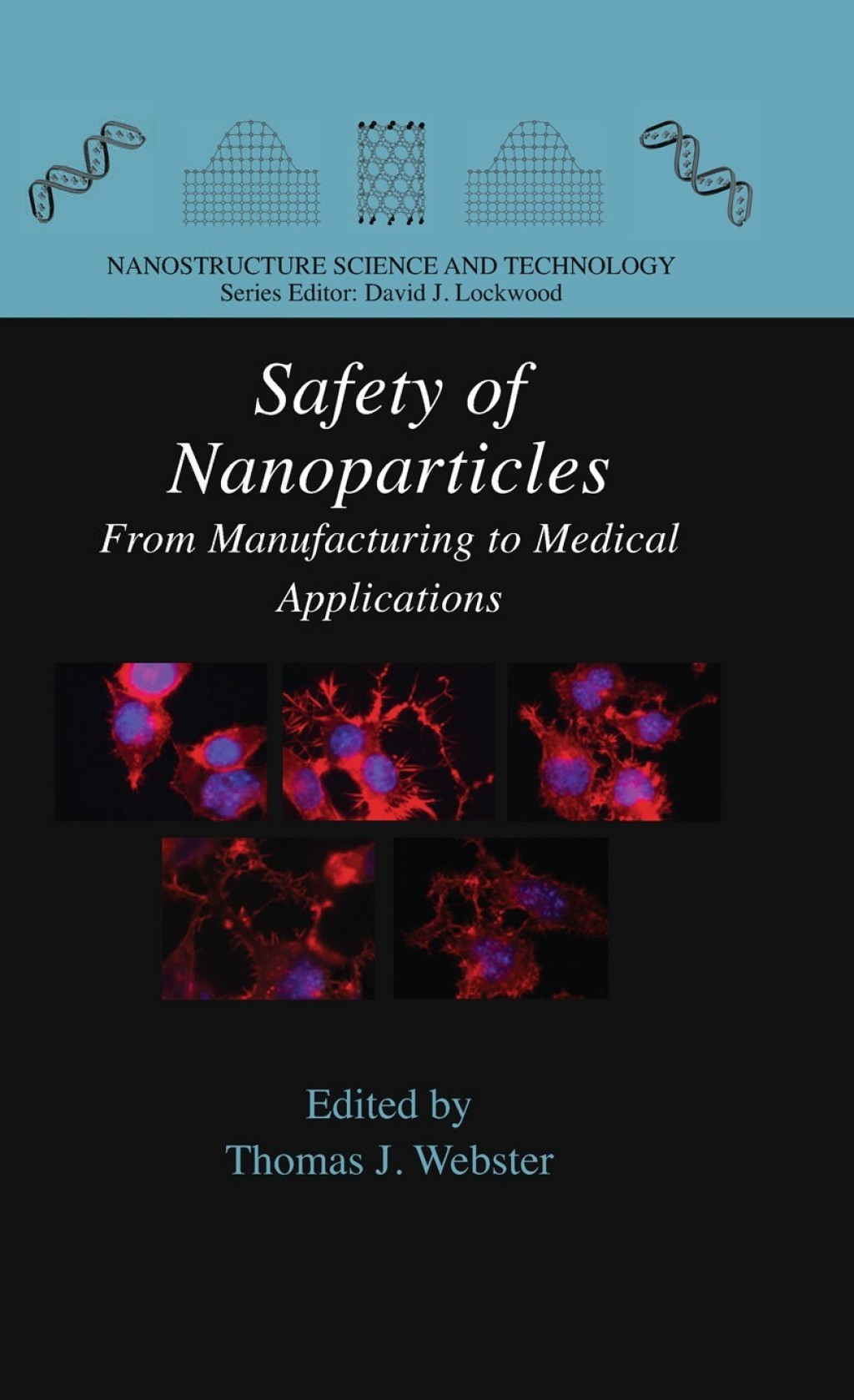 Safety of Nanoparticles From Manufacturing to Medical Applications 1st Edition