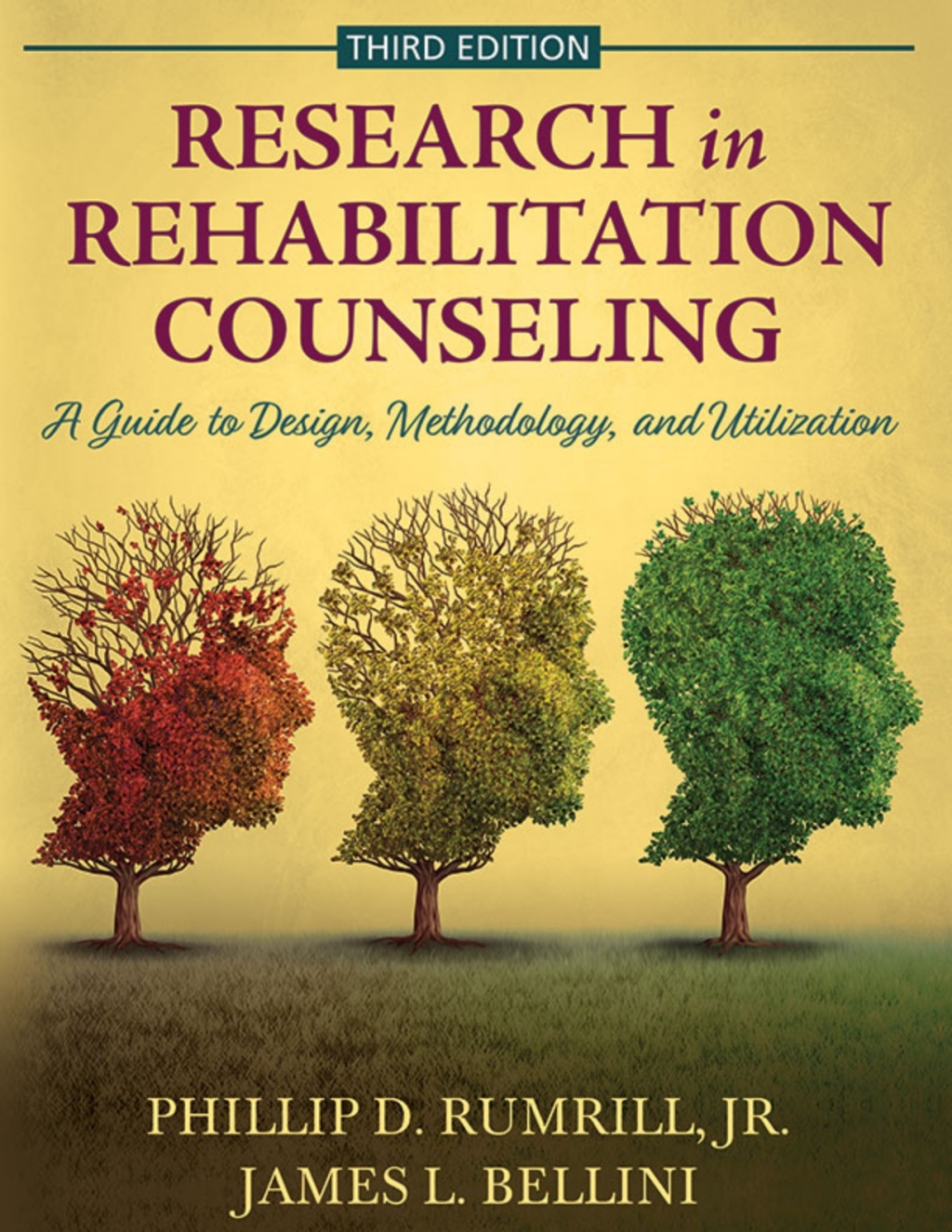 Research in Rehabilitation Counseling: A Guide to Design, Methodology, and Utilization 3rd Edition