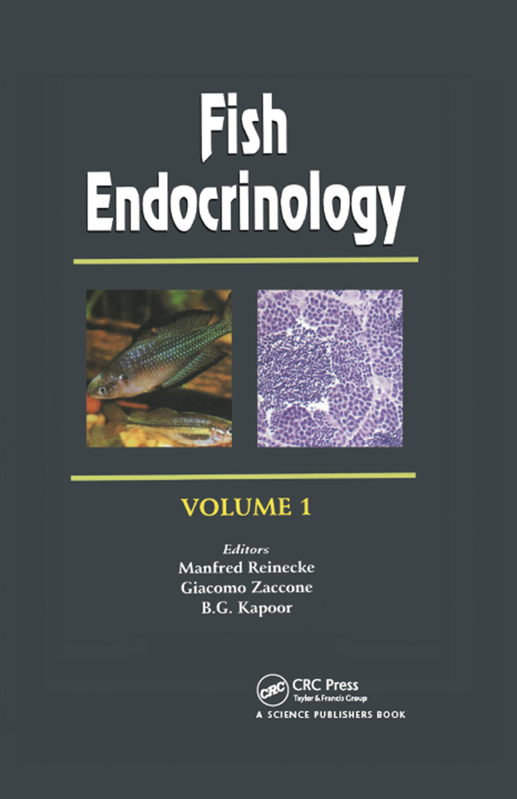 Fish Endocrinology (2 Vols.) 1st Edition