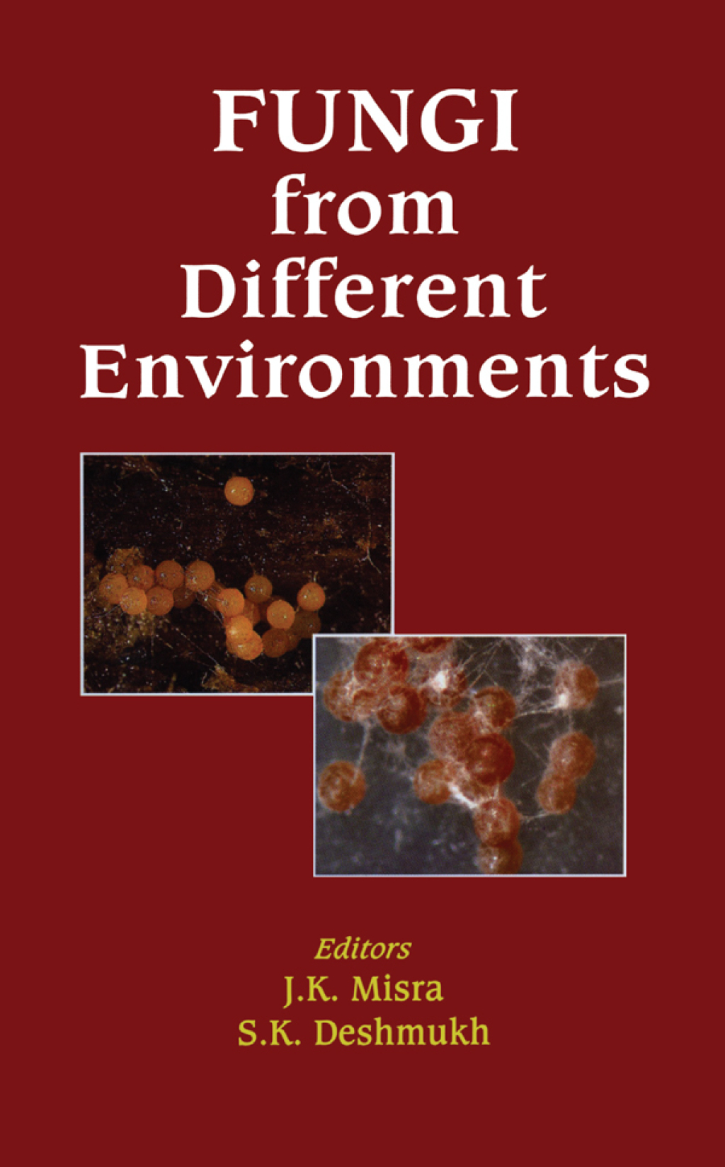 Fungi from Different Environments 1st Edition