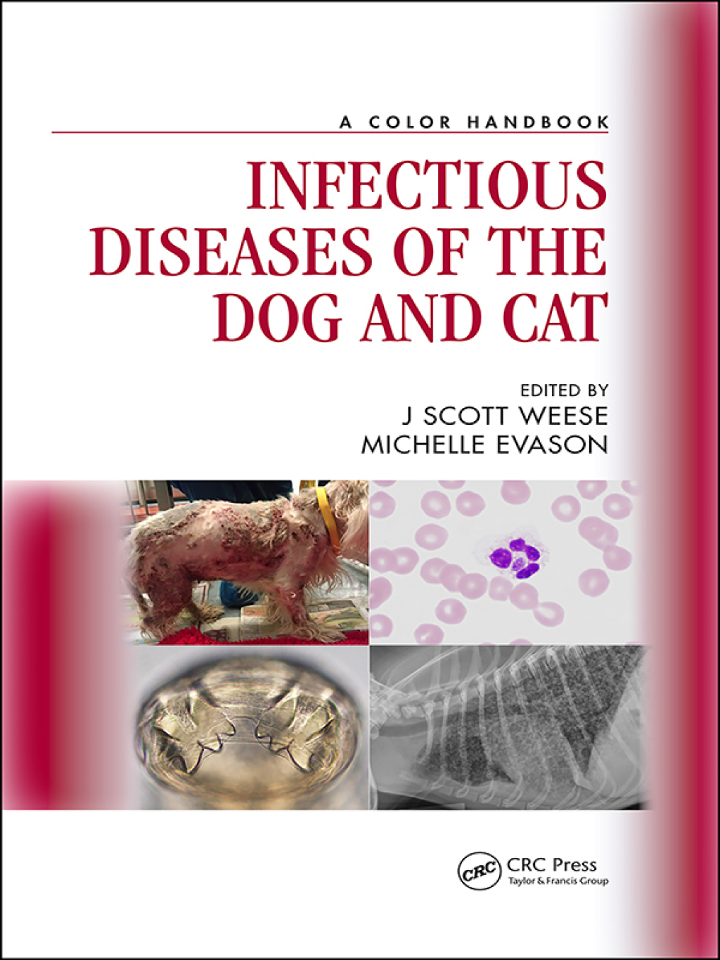 Infectious Diseases of the Dog and Cat A Color Handbook 1st Edition