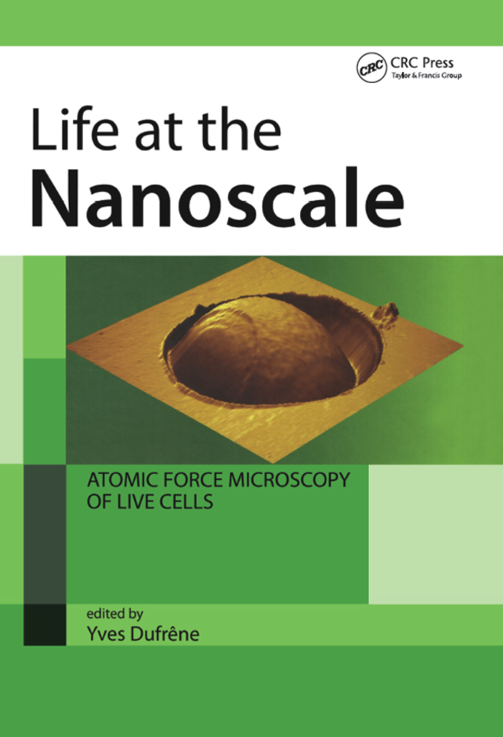 Life at the Nanoscale Atomic Force Microscopy of Live Cells 1st Edition