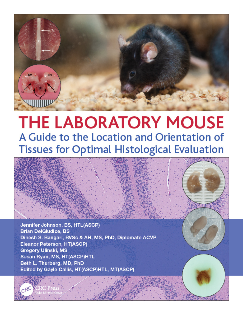 The Laboratory Mouse A Guide to the Location and Orientation of Tissues for Optimal Histological Evaluation 1st Edition