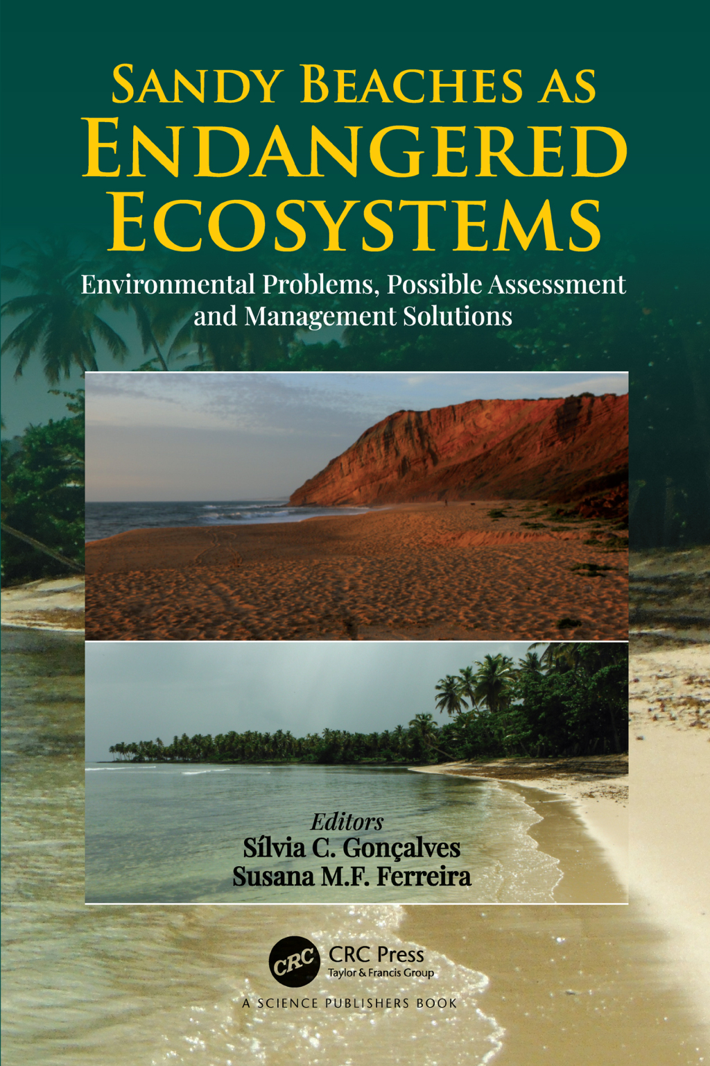 Sandy Beaches as Endangered Ecosystems Environmental Problems, Possible Assessment and Management Solutions 1st Edition