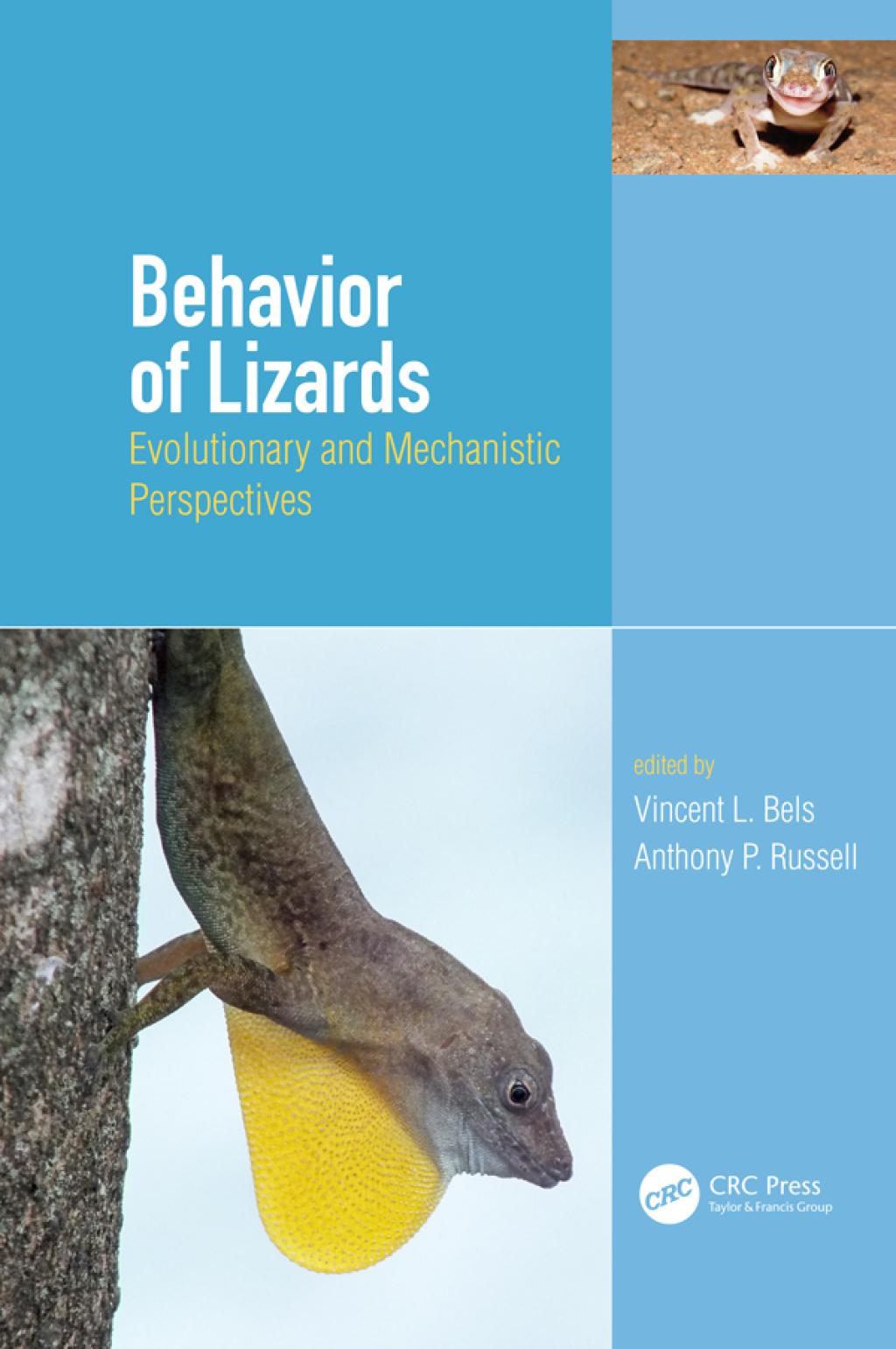 Behavior of Lizards Evolutionary and Mechanistic Perspectives 1st Edition