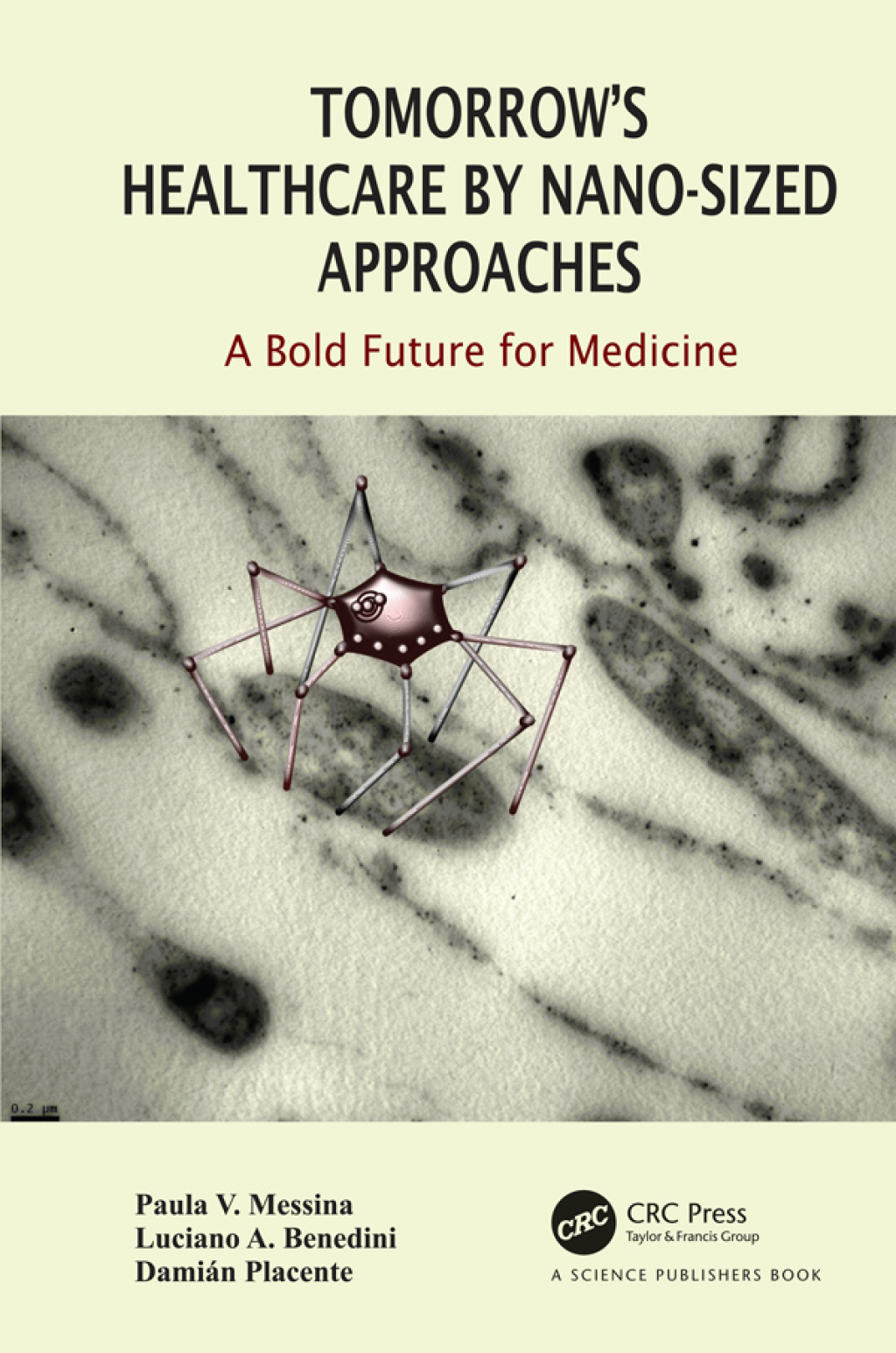 Tomorrow's Healthcare by Nano-sized Approaches A Bold Future for Medicine 1st Edition