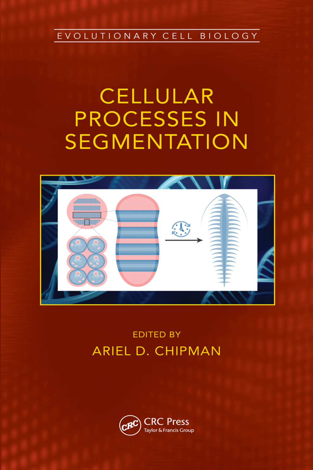 Cellular Processes in Segmentation 1st Edition