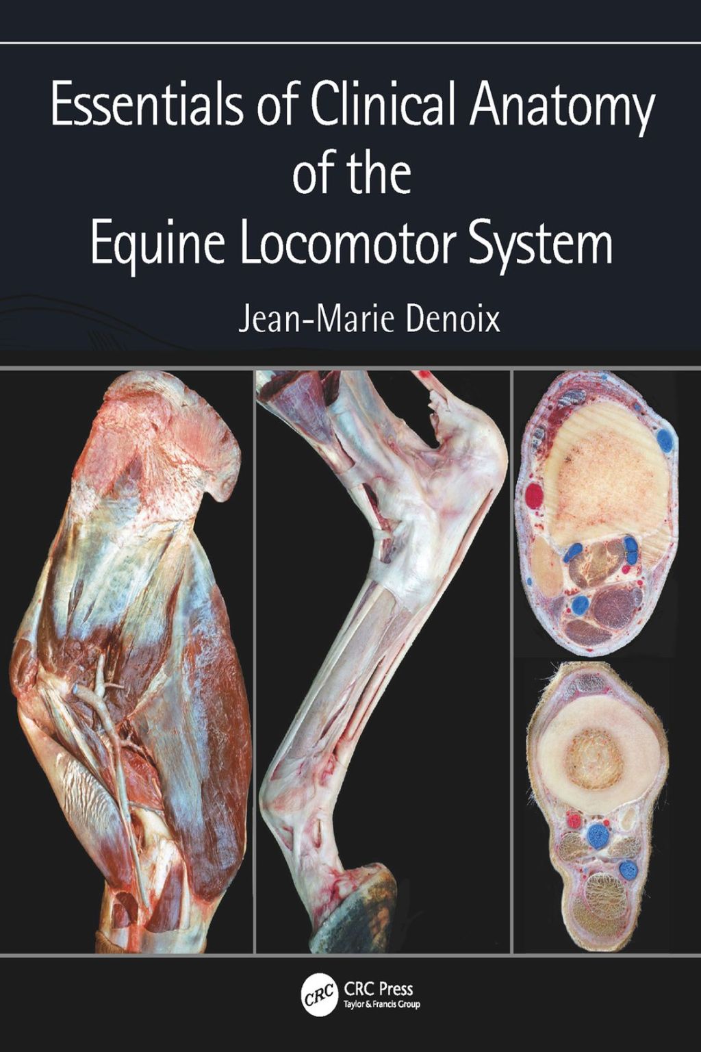 Essentials of Clinical Anatomy of the Equine Locomotor System 1st Edition
