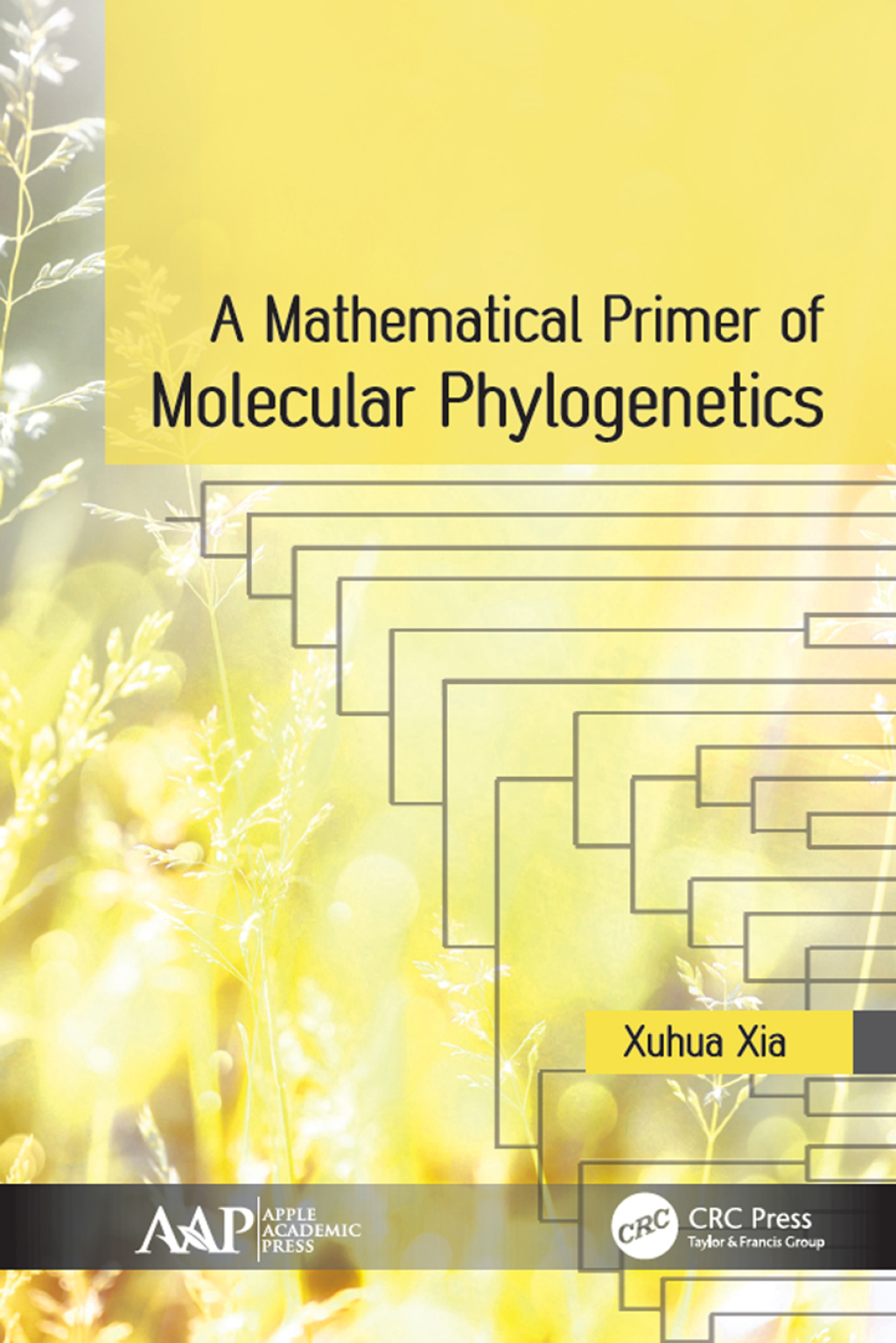 A Mathematical Primer of Molecular Phylogenetics 1st Edition