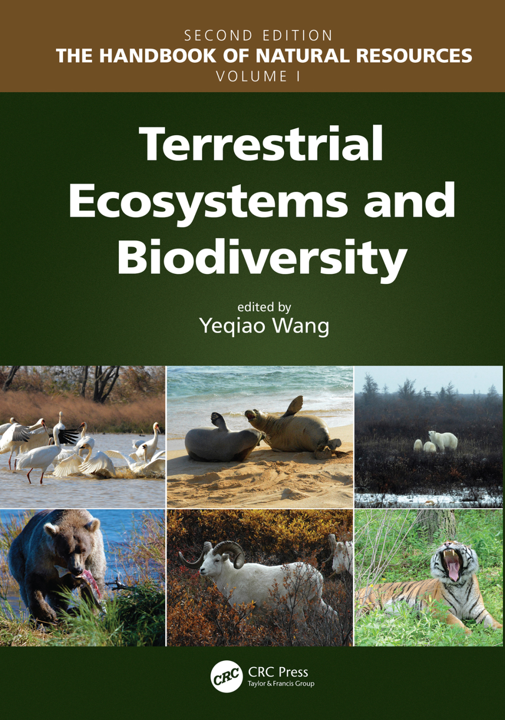 Terrestrial Ecosystems and Biodiversity 2nd Edition