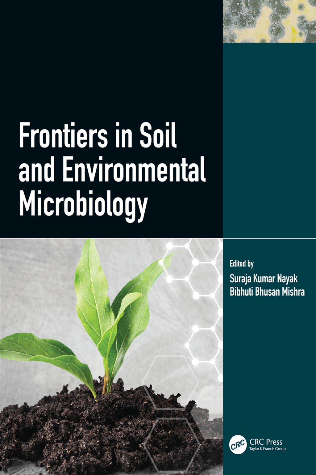 Frontiers in Soil and Environmental Microbiology 1st Edition