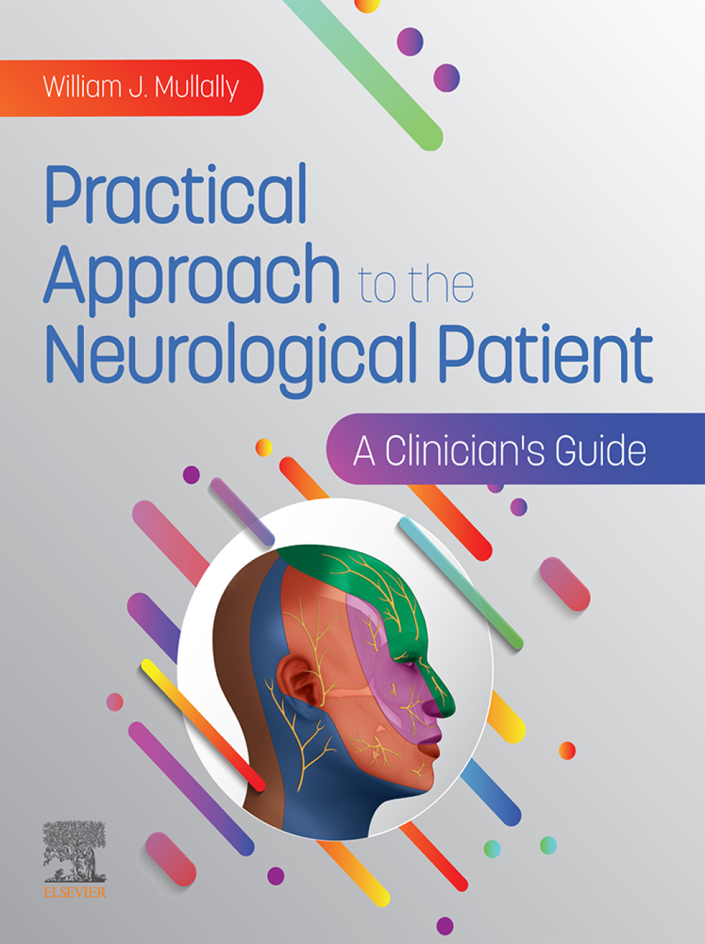 Practical Approach to the Neurological Patient A Clinician's Guide 