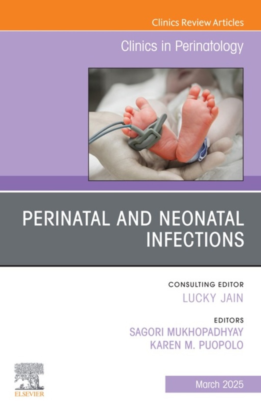 Perinatal and Neonatal Infections, An Issue of Clinics in Perinatology 