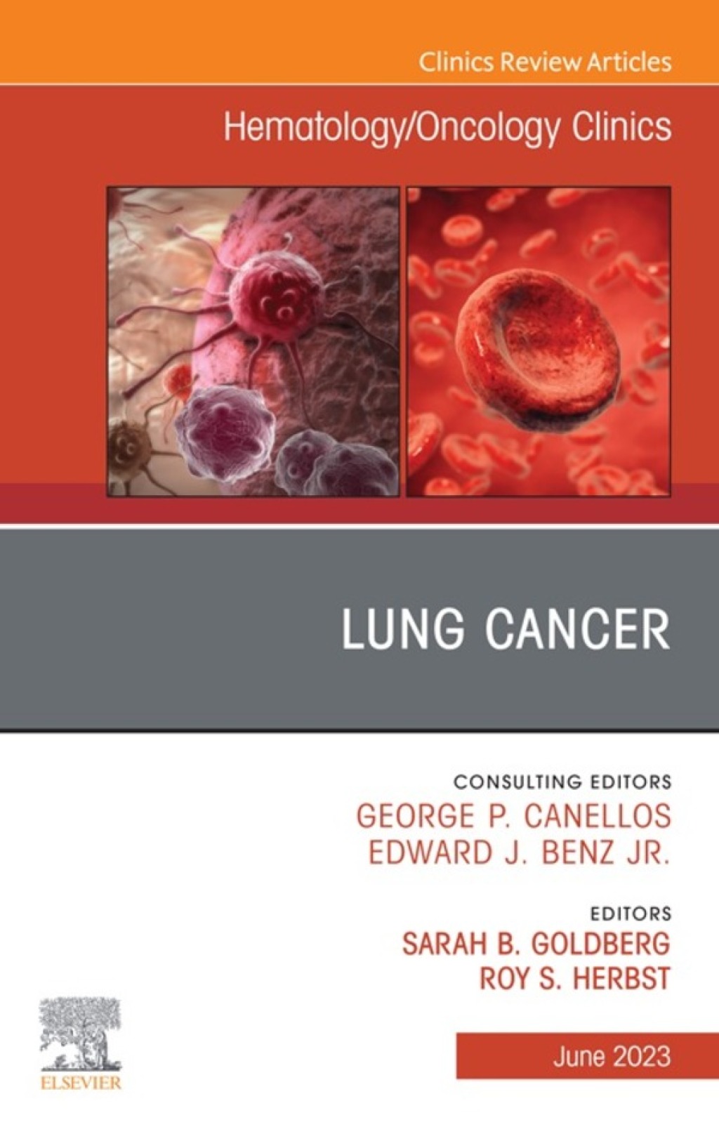 Lung Cancer, An Issue of Hematology/Oncology Clinics of North America 1st Edition