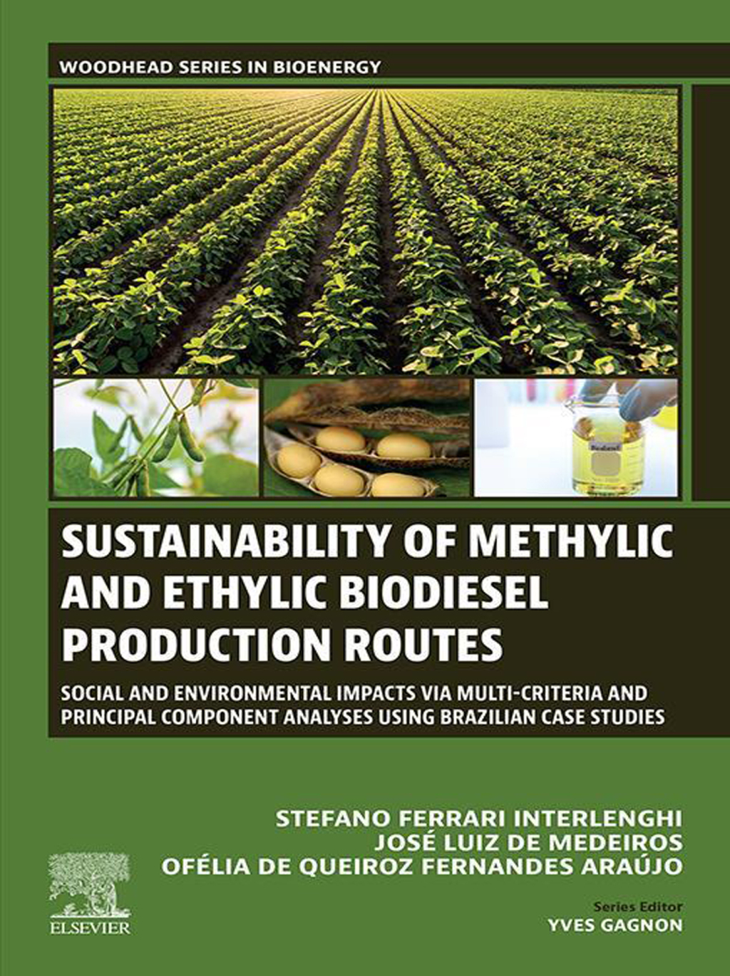 Sustainability of Methylic and Ethylic Biodiesel Production Routes Social and Environmental Impacts via Multi-criteria and Principal Component Analyses using Brazilian Case Studies 1st Edition