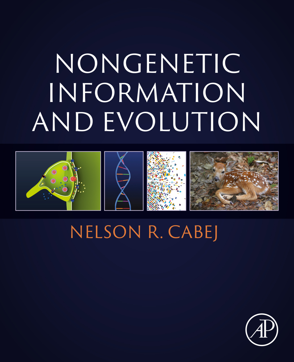 Nongenetic Information and Evolution 