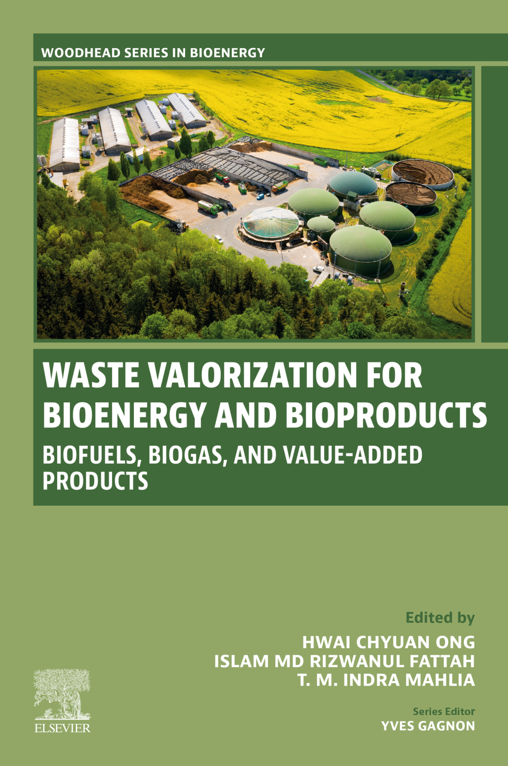 Waste Valorization for Bioenergy and Bioproducts Biofuels, Biogas, and Value-Added Products 1st Edition