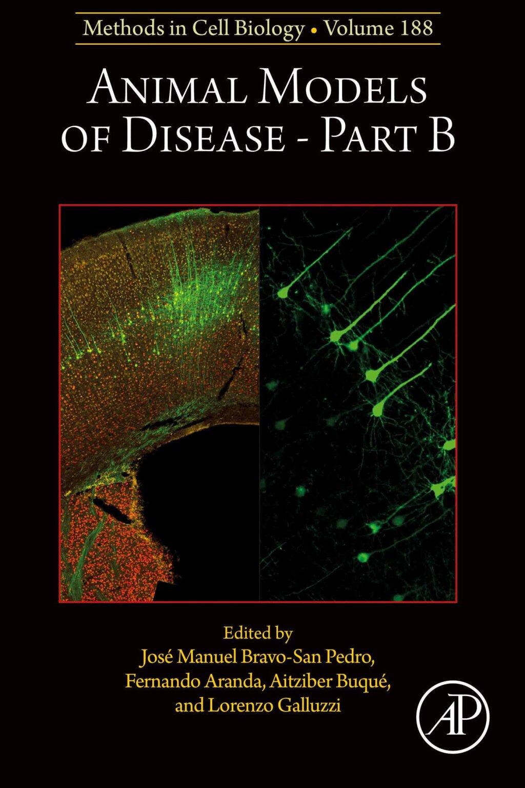Animal Models of Disease Part B 1st Edition