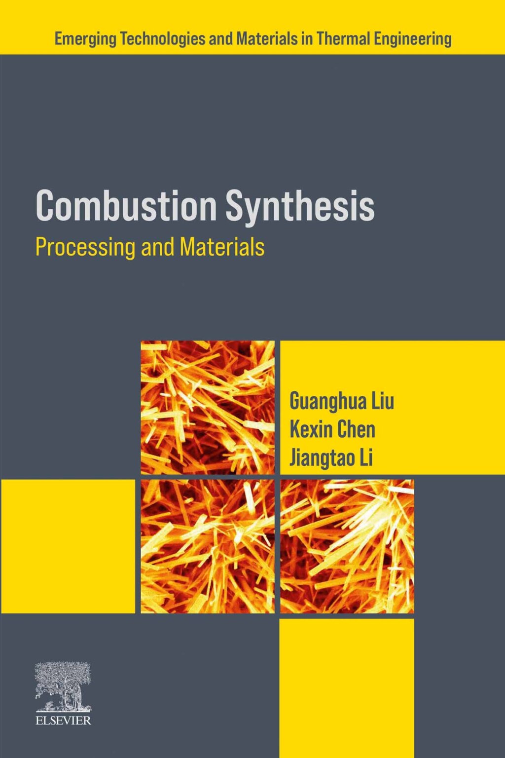 Combustion Synthesis Processing and Materials 1st Edition