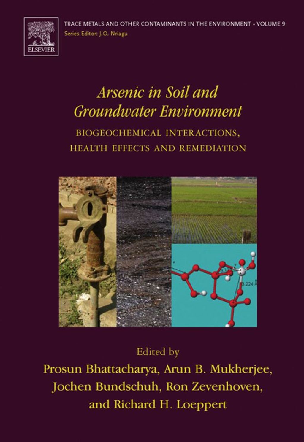 Arsenic in Soil and Groundwater Environment: Biogeochemical Interactions, Health Effects and Remediation 