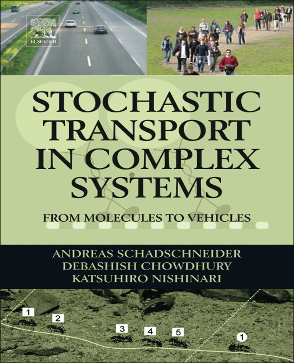 Stochastic Transport in Complex Systems: From Molecules to Vehicles 