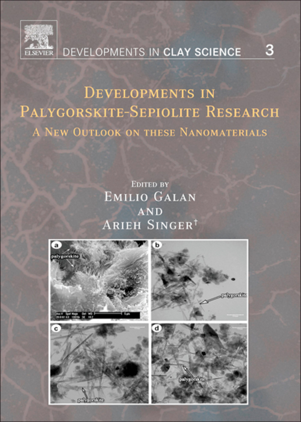 Developments in Palygorskite-Sepiolite Research 