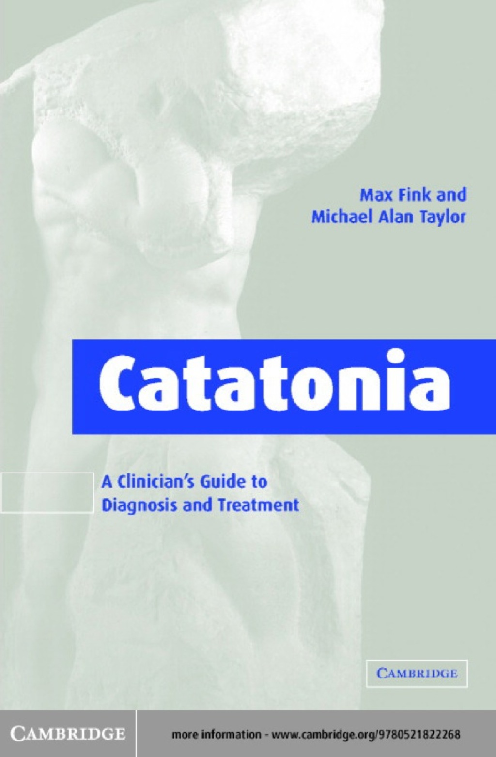 Catatonia A Clinician's Guide to Diagnosis and Treatment 1st Edition