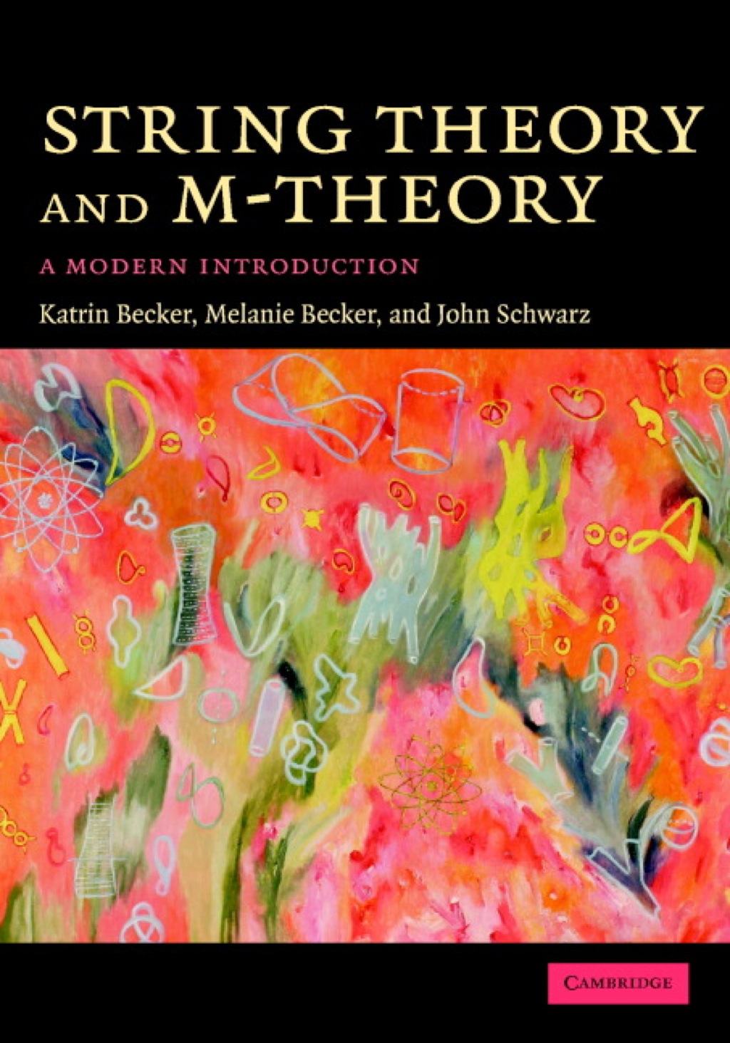 String Theory and M-Theory A Modern Introduction 