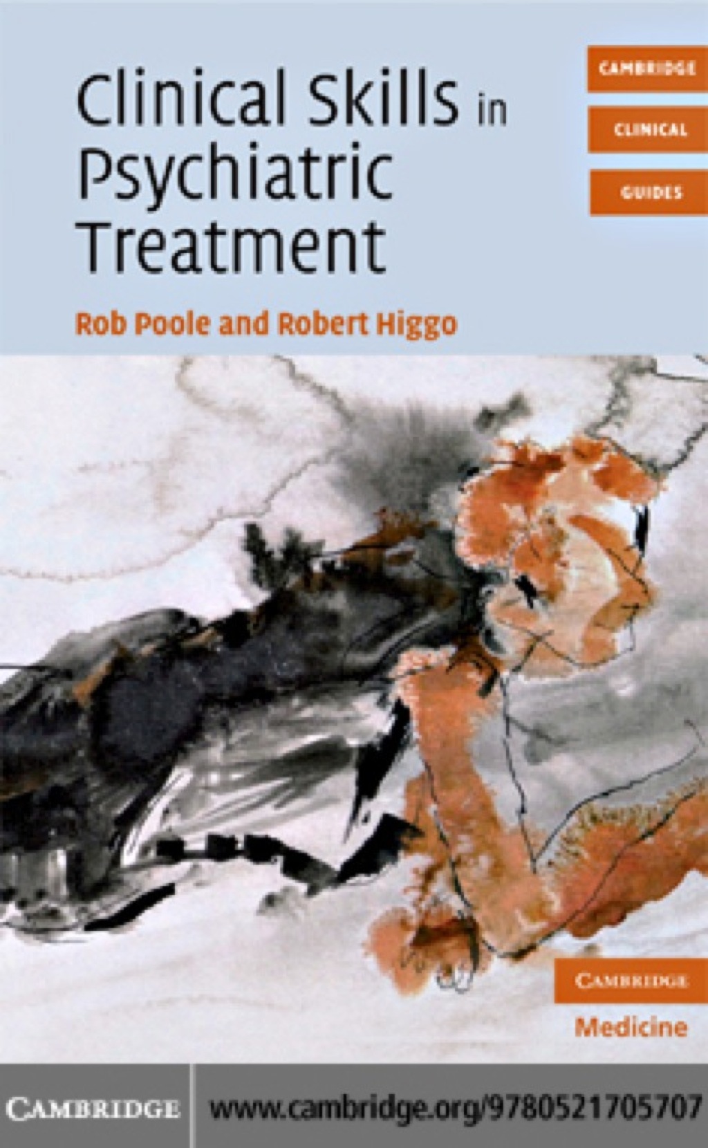 Clinical Skills in Psychiatric Treatment 1st Edition