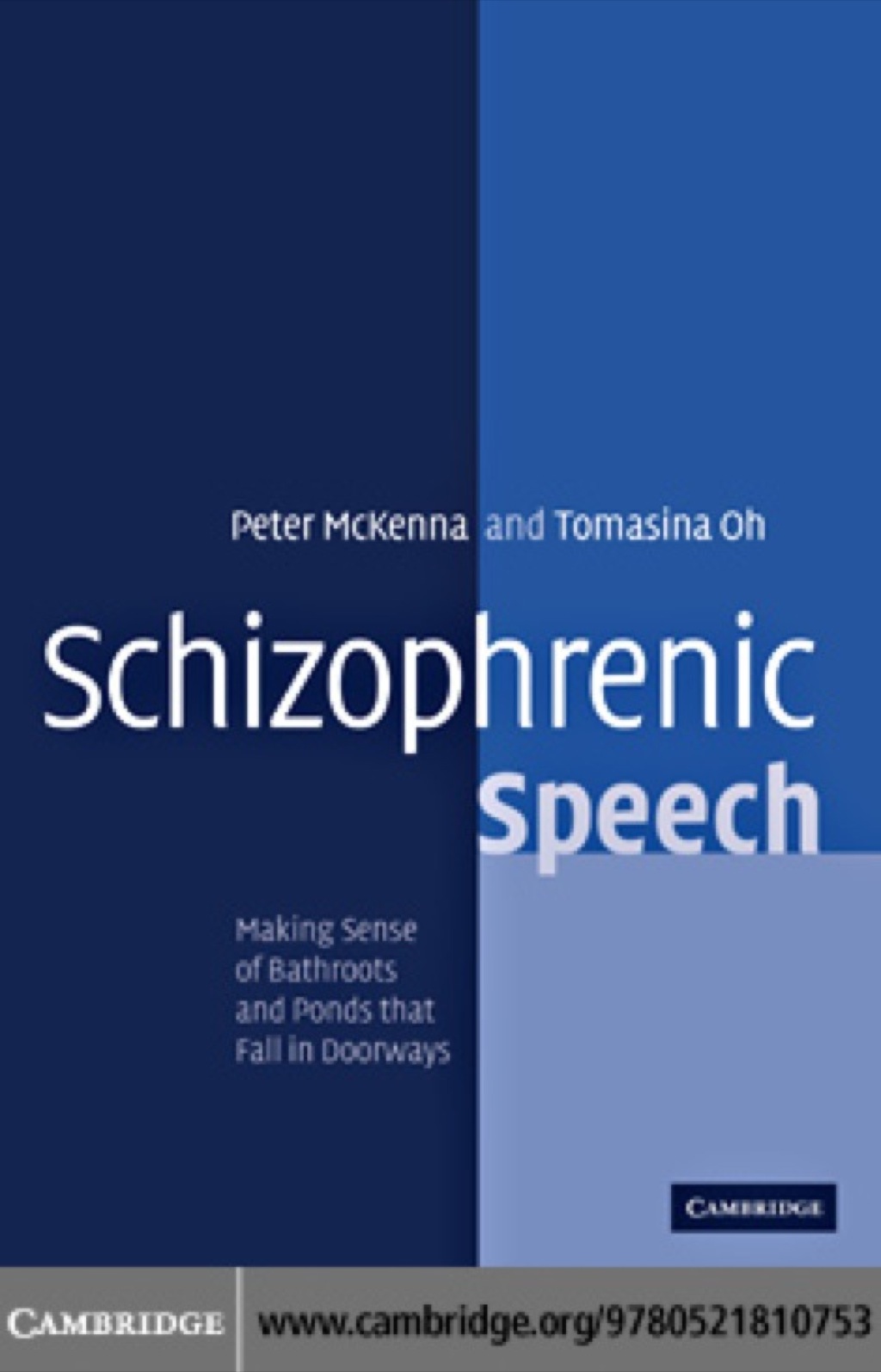 Schizophrenic Speech Making Sense of Bathroots and Ponds that Fall in Doorways 1st Edition