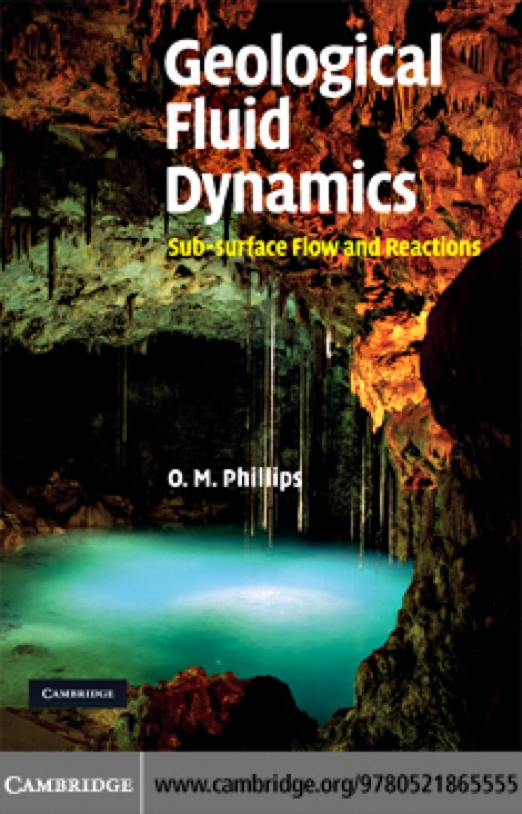 Geological Fluid Dynamics Sub-surface Flow and Reactions 1st Edition