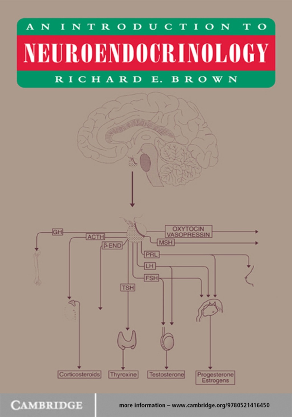 An Introduction to Neuroendocrinology 1st Edition