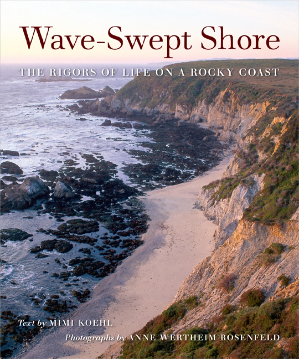 Wave-Swept Shore The Rigors of Life on a Rocky Coast 1st Edition