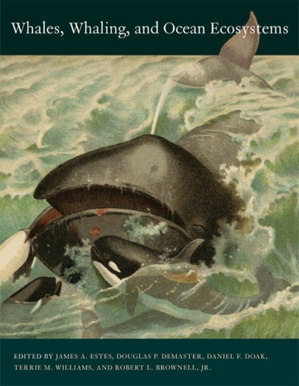 Whales, Whaling, and Ocean Ecosystems 1st Edition