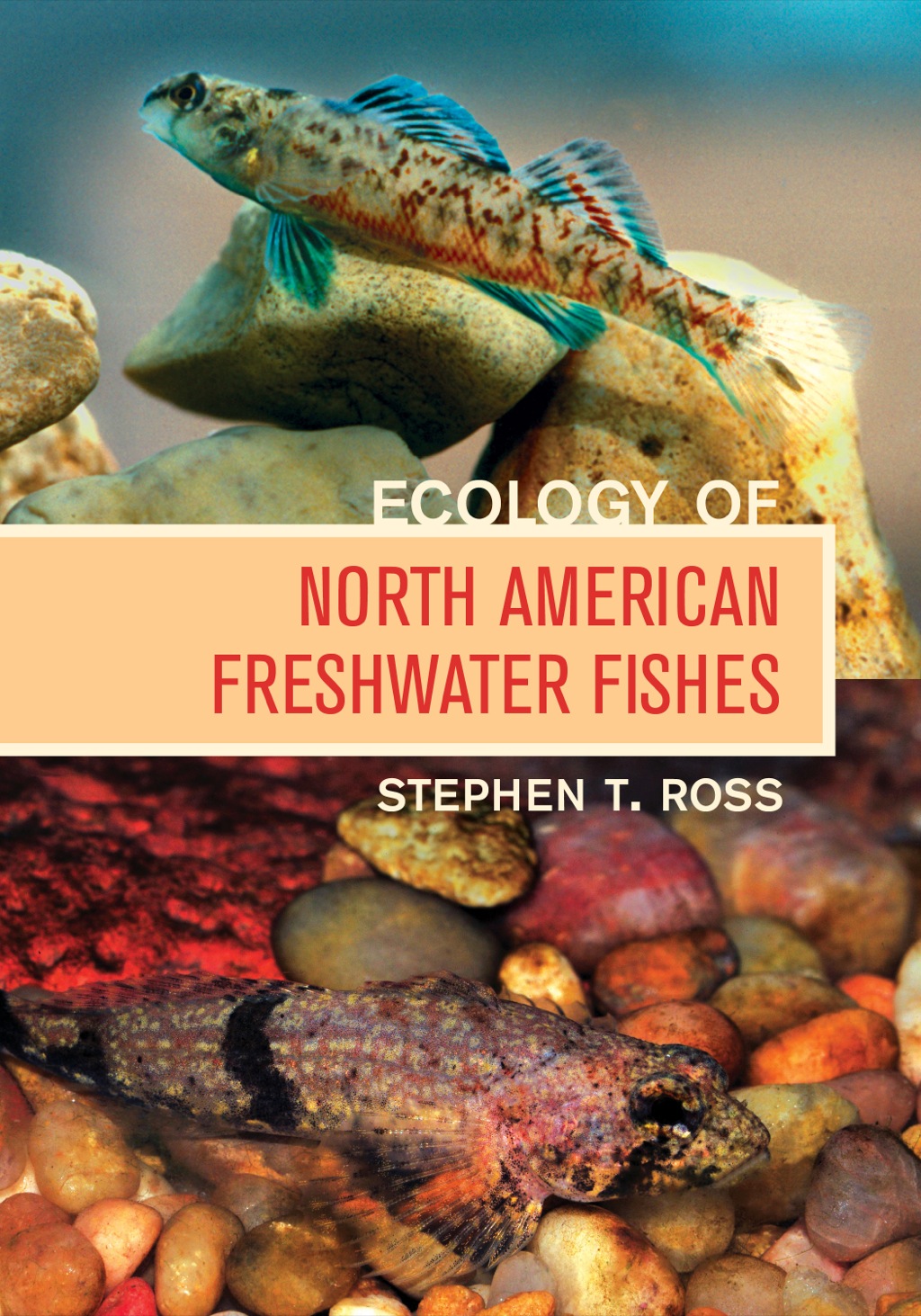 Ecology of North American Freshwater Fishes 1st Edition