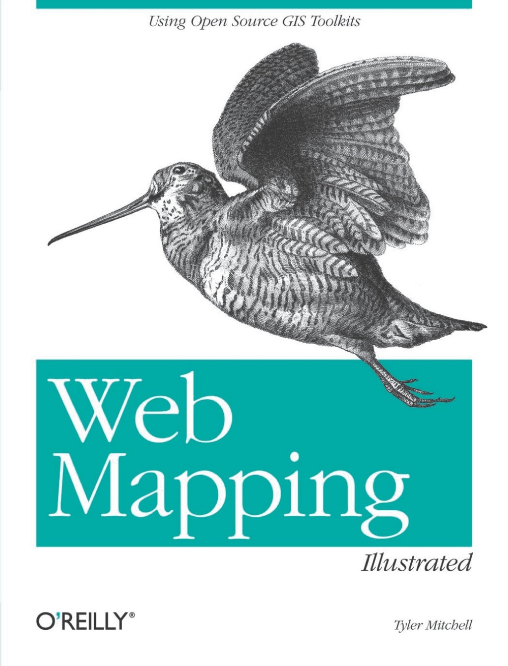 Web Mapping Illustrated 1st Edition