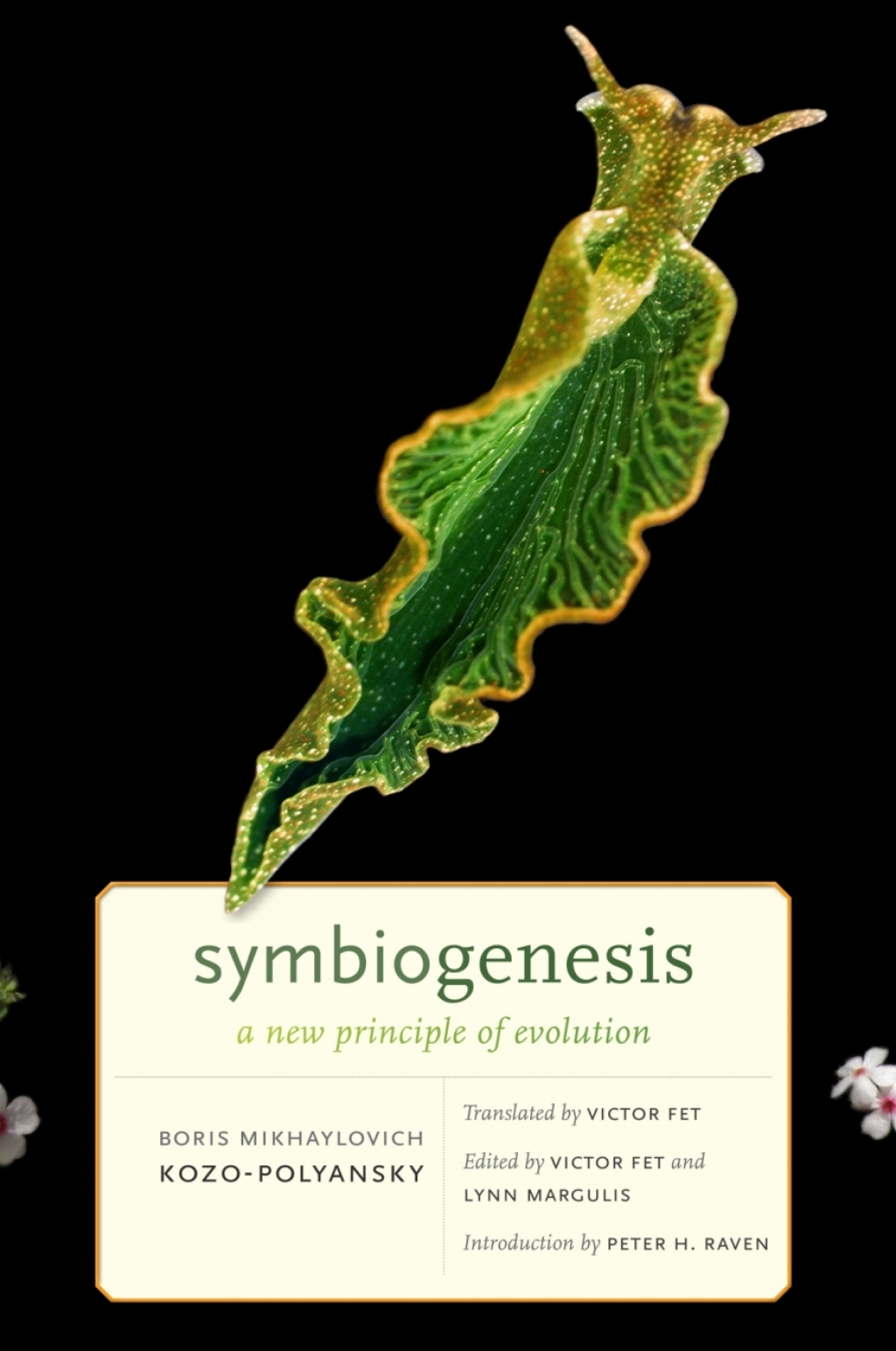 Symbiogenesis A New Principle of Evolution 